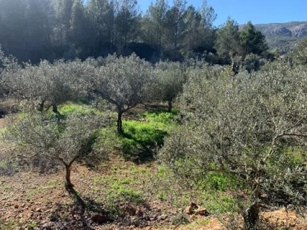 Terreno en Polígono Sau6 Sector 3, 223