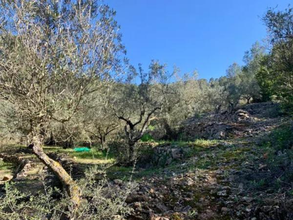 Terreno en Polígono Sau6 Sector 3, 223