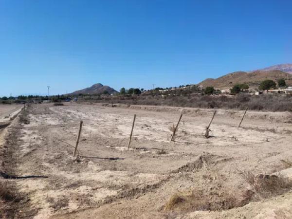 Terreno en carretera la calera s/n