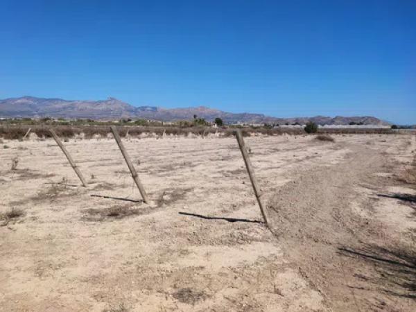Terreno en carretera la calera s/n