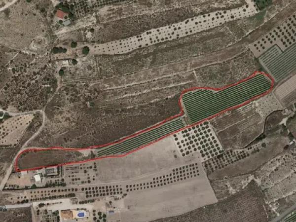 Terreno en carretera la calera s/n