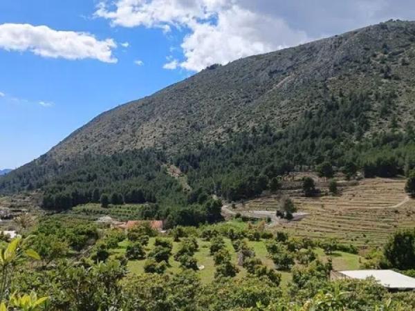 Terreno en Callosa d'En Sarria