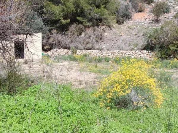 Terreno en Callosa d'En Sarria