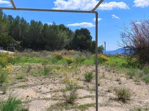 Terreno en Callosa d'En Sarria