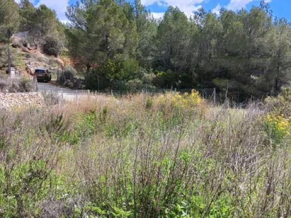 Terreno en Callosa d'En Sarria