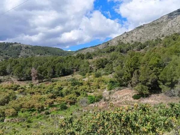 Terreno en Callosa d'En Sarria