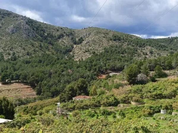 Terreno en Callosa d'En Sarria