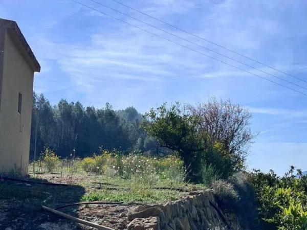 Terreno en Callosa d'En Sarria