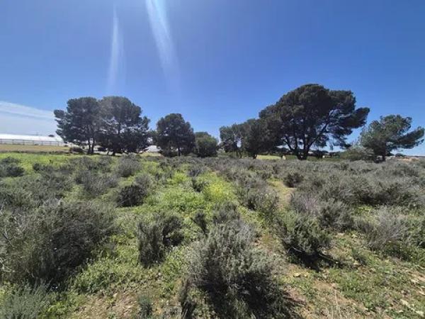 Terreno en Diseminado Poligono 8, 15