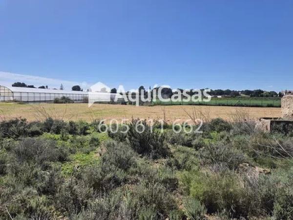 Terreno en Diseminado Poligono 8, 15