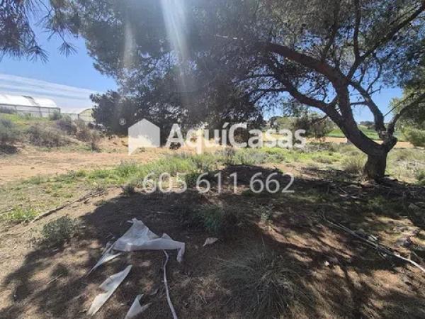 Terreno en Diseminado Poligono 8, 15