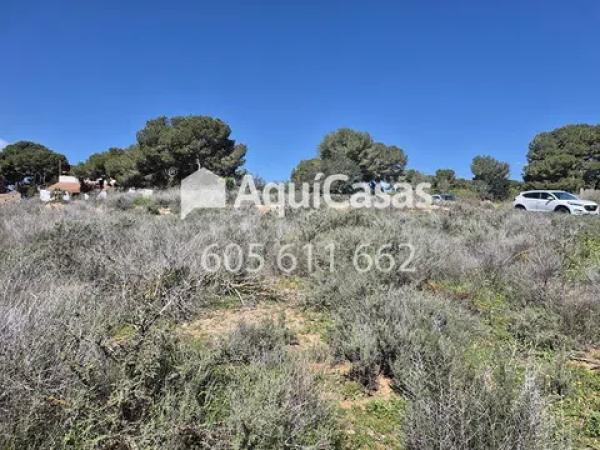 Terreno en Diseminado Poligono 8, 15