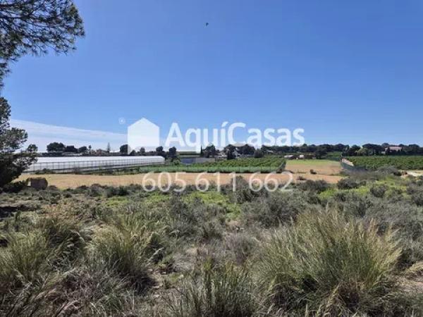 Terreno en Diseminado Poligono 8, 15