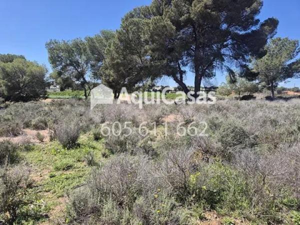 Terreno en Diseminado Poligono 8, 15