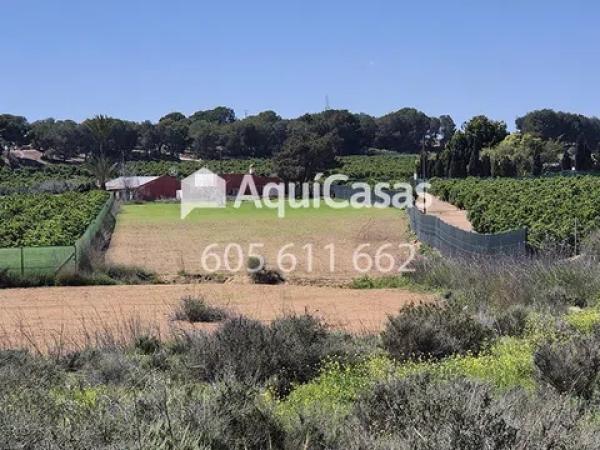 Terreno en Diseminado Poligono 8, 15