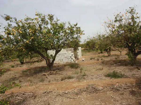 Terreno en camino del Raso