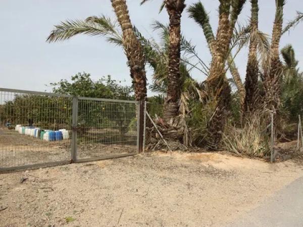 Terreno en camino del Raso