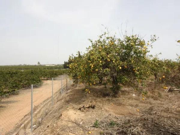 Terreno en camino del Raso