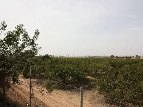 Terreno en camino del Raso