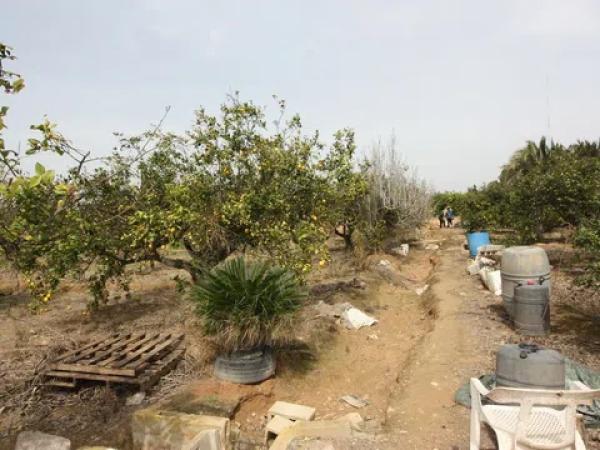 Terreno en camino del Raso