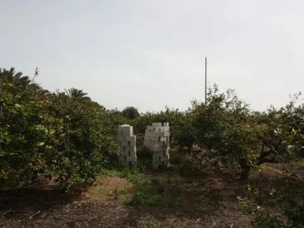 Terreno en camino del Raso