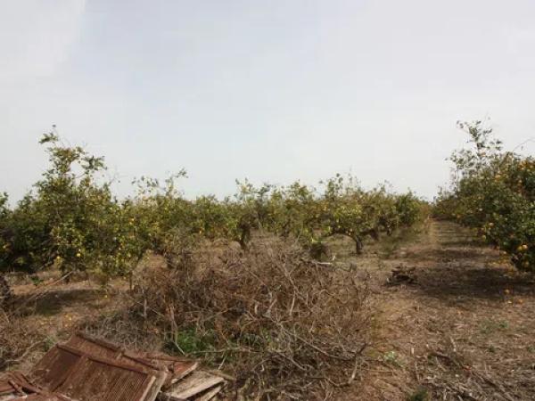 Terreno en camino del Raso