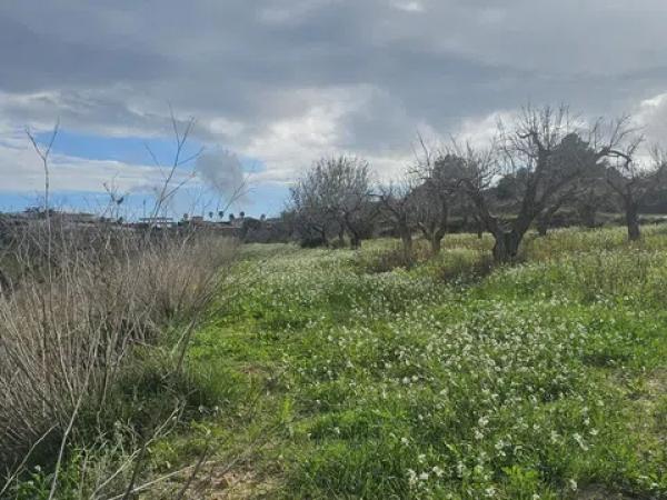 Terreno en Partida Benimarco Poligono 9