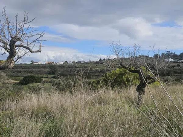 Terreno en Partida Benimarco Poligono 9