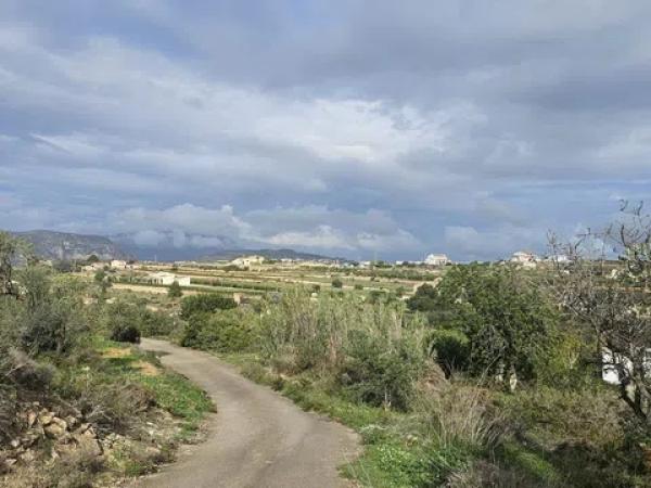 Terreno en Partida Benimarco Poligono 9