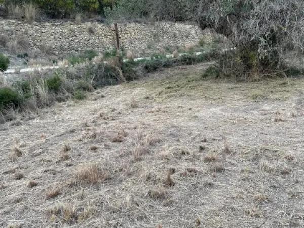 Terreno en Partida Benimalluny