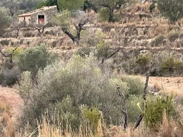 Terreno en Partida Benimalluny