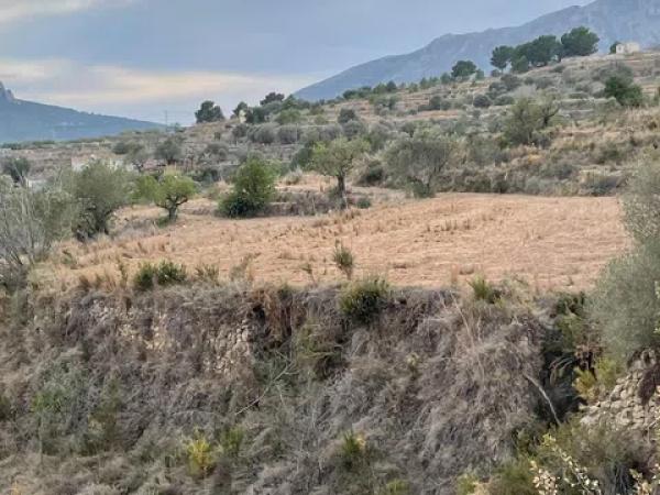 Terreno en Partida Benimalluny