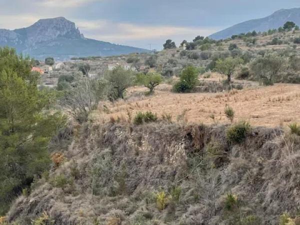 Terreno en Partida Benimalluny