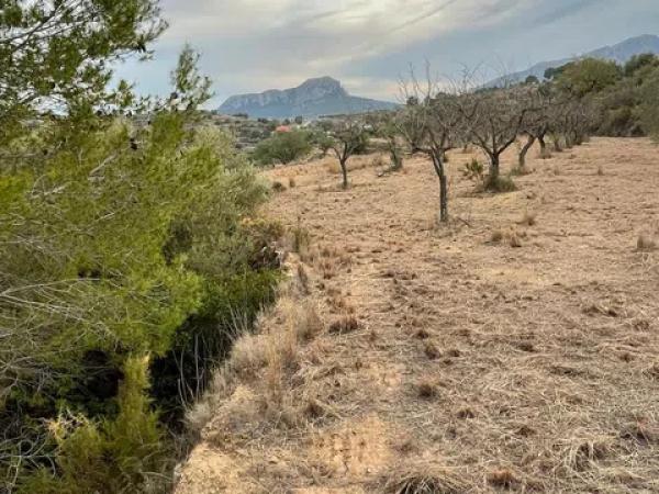 Terreno en Partida Benimalluny