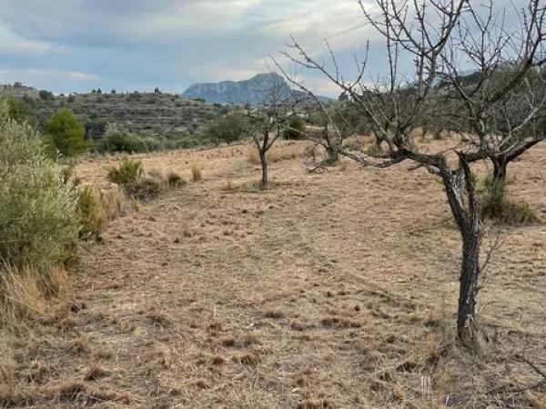 Terreno en Partida Benimalluny