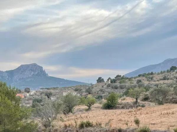 Terreno en Partida Benimalluny