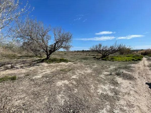 Terreno en Tamarit - Playa Lissa