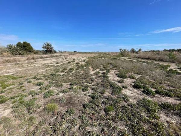 Terreno en Tamarit - Playa Lissa