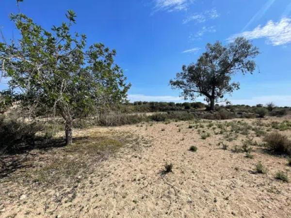 Terreno en La Marina