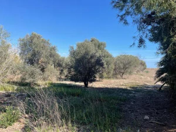 Terreno en Tamarit - Playa Lissa