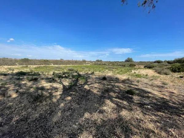 Terreno en La Marina