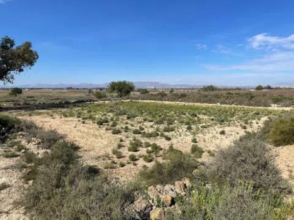 Terreno en La Marina