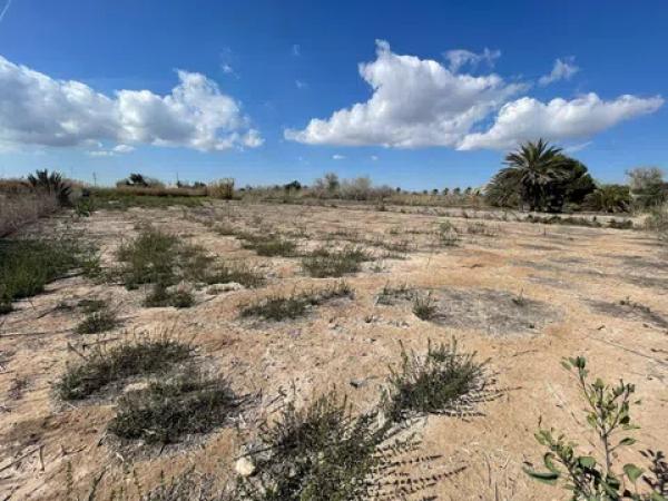Terreno en Tamarit - Playa Lissa