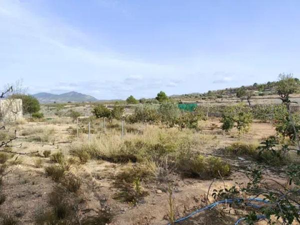 Terreno en Polígono 2, 121