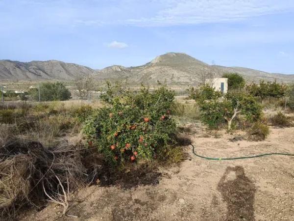 Terreno en Polígono 2, 121