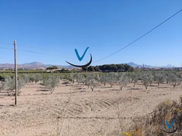 Terreno en Haygon - Universidad