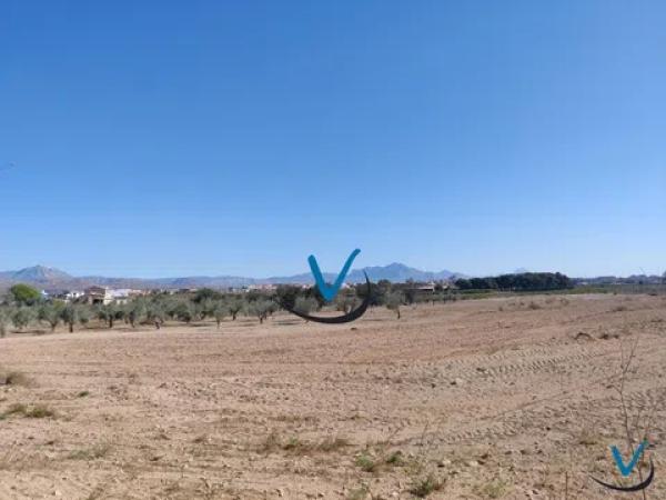 Terreno en Haygon - Universidad