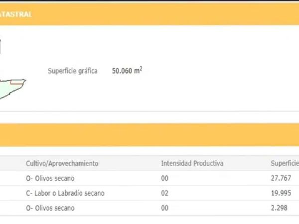 Terreno en Haygon - Universidad