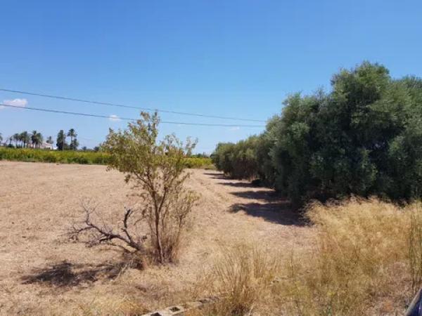 Terreno en Cv-854, 4