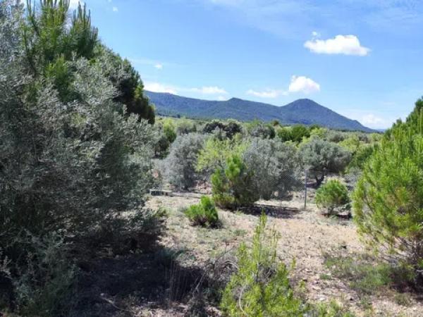 Terreno en Cv-804, km 9